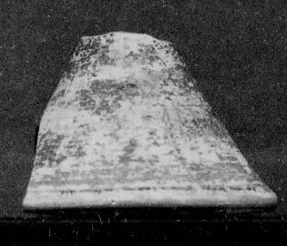 CHALICE, FRAGMENT (EAST GREEK, NAUCRATITE)