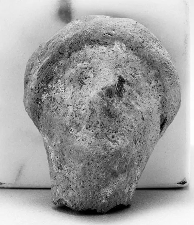 Human Head