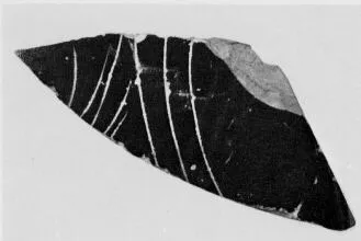 AMPHORA, PANATHENAIC PRIZE, FRAGMENT (ATHENIAN, BLACK-FIGURE)