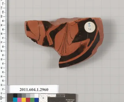 Terracotta fragment of a kylix (drinking cup)