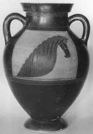 AMPHORA, BELLY, TYPE B (ATHENIAN, BLACK-FIGURE)