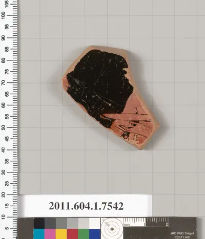 Terracotta fragment of a kylix (drinking cup)