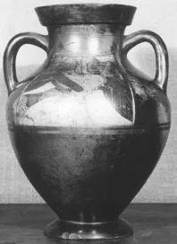 AMPHORA, BELLY, TYPE B (ATHENIAN, BLACK-FIGURE)
