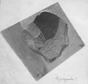 CUP, FRAGMENT (ATHENIAN, RED-FIGURE)