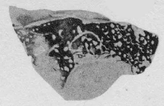 FRAGMENT (ATHENIAN, RED-FIGURE)