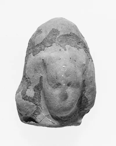 Female Head