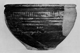 CUP (ITALO-GEOMETRIC)