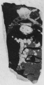 KRATER, COLUMN, FRAGMENT (ATHENIAN, RED-FIGURE)
