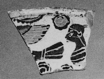 BOWL, FRAGMENT (EAST GREEK, CHIAN, BLACK-FIGURE)