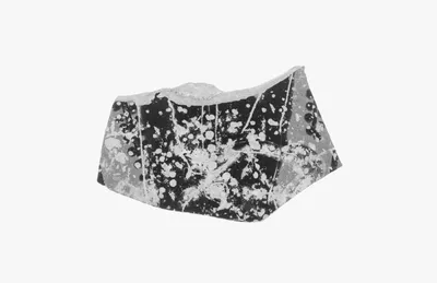 Attic Black-Figure Vase Fragment