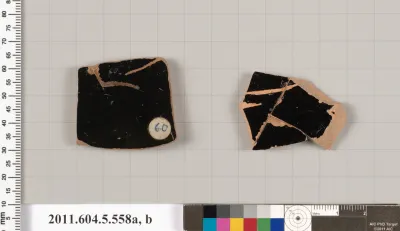 Terracotta fragments of kylikes (drinking cups)