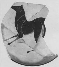 CUP, FRAGMENT (ATHENIAN, BLACK-FIGURE)