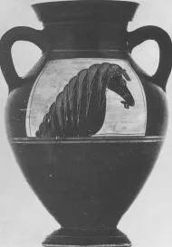 AMPHORA, BELLY, TYPE B (ATHENIAN, BLACK-FIGURE)