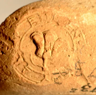 transport amphora