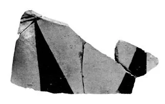 SKYPHOS, FRAGMENT (PROTOCORINTHIAN, BLACK-FIGURE)