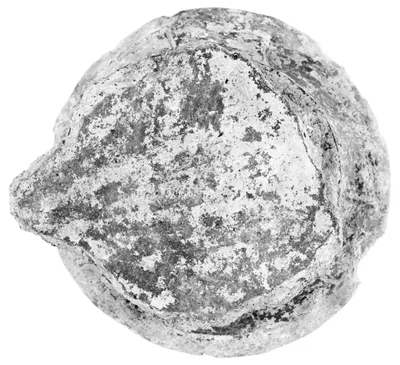 Foot Fragment