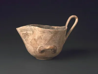 tasse
