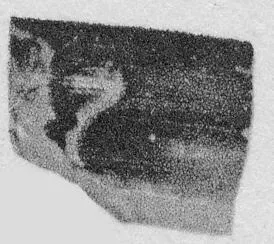 CUP, FRAGMENT (ATHENIAN, RED-FIGURE)