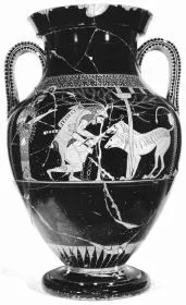 AMPHORA, BELLY, TYPE A (ATHENIAN, RED-FIGURE)