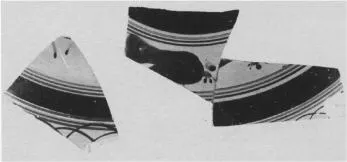 CUP DROOP, FRAGMENT (ATHENIAN, BLACK-FIGURE)
