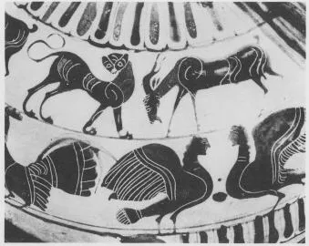 HYDRIA (UNCERTAIN, BLACK-FIGURE)