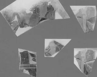 AMPHORA, BELLY, FRAGMENTS (ATHENIAN, BLACK-FIGURE)