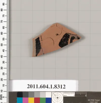 Terracotta fragment of a kylix (drinking cup)