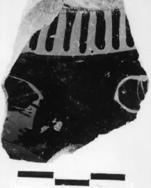 AMPHORA, NECK (?), FRAGMENT (ATHENIAN, RED-FIGURE)