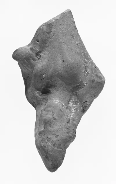 Female Head