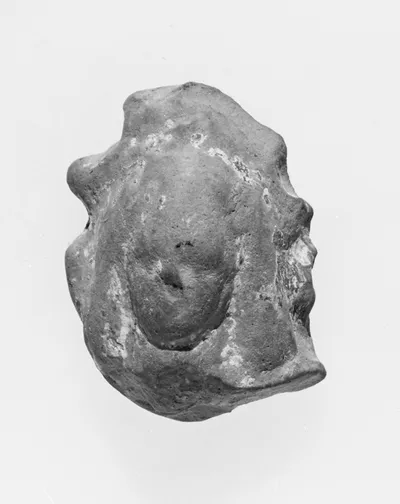 Female Head
