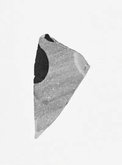 Attic Black-Figure Amphora Fragment