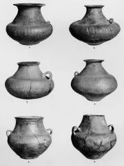 VARIOUS (DALJ)