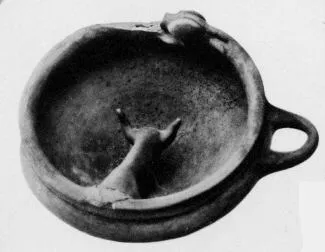 DISH (VEIAN)