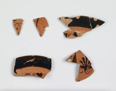 Attic Black-Figure Neck Amphora Fragment