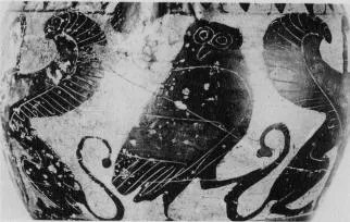 AMPHORA, NECK (CHALCIDIAN, BLACK-FIGURE)