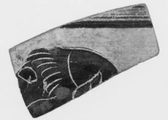 FRAGMENT (ETRUSCAN, BLACK-FIGURE)
