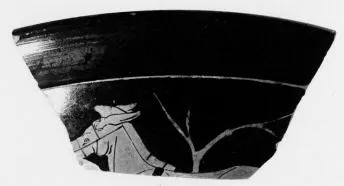 CUP C, FRAGMENT (ATHENIAN, RED-FIGURE)