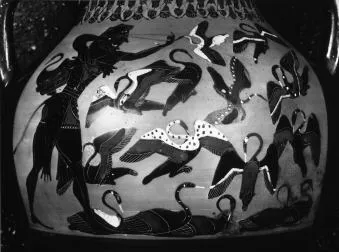 AMPHORA, BELLY, TYPE B (ATHENIAN, BLACK-FIGURE)