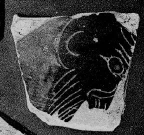 AMPHORA, BELLY, FRAGMENT (ATHENIAN, BLACK-FIGURE)