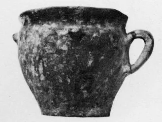 CUP (VILLA NOVA)