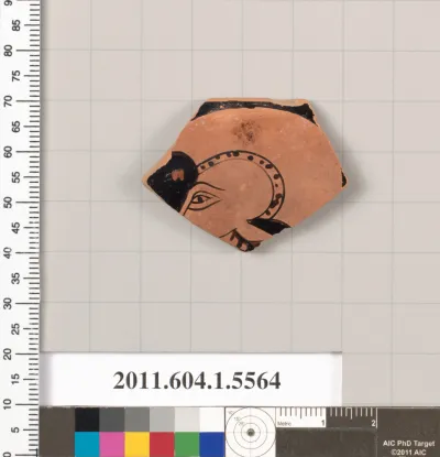 Terracotta rim fragment of a kylix (drinking cup)