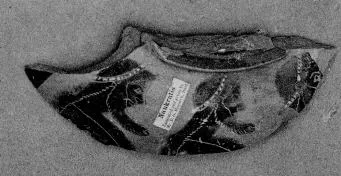 AMPHORA, NECK, FRAGMENT (EAST GREEK, CLAZOMENIAN, BLACK-FIGURE)
