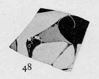 CUP, LITTLE MASTER BAND, FRAGMENT (ATHENIAN, BLACK-FIGURE)