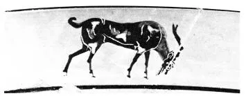 CUP, LITTLE MASTER LIP (ATHENIAN, BLACK-FIGURE)
