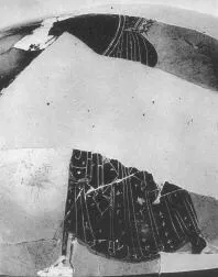 AMPHORA, PANATHENAIC PRIZE, FRAGMENTS (ATHENIAN, BLACK-FIGURE)