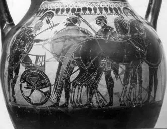 AMPHORA, BELLY, TYPE B (ATHENIAN, BLACK-FIGURE)