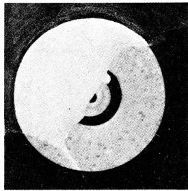 CUP (ATHENIAN, BLACK-FIGURE)