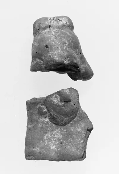 Female Head