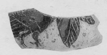 HYDRIA, FRAGMENT (ATHENIAN, BLACK-FIGURE)