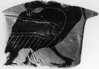 KRATER, COLUMN, FRAGMENT (ATHENIAN, BLACK-FIGURE)
